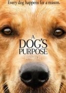 A Dog's Purpose (2017)