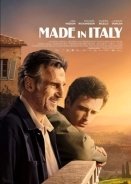 Made in Italy (2020)