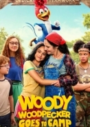 Woody Woodpecker Goes to Camp / Ο Γούντι ο Τρυποκάρυδος Πάει Κατασκήνωση (2024)