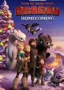 How to Train Your Dragon Homecoming (2019)
