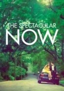 The Spectacular Now (2013)