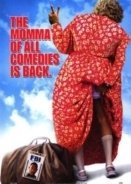 Big Momma's House 2 (2006)