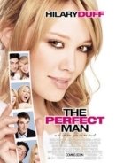 The Perfect Man (2005)