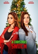 A Christmas Switch (2018)