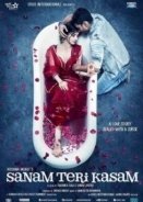 Sanam Teri Kasam (2016)