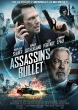 Assassin's Bullet (2012)