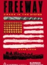 Freeway: Crack in the System (2015)