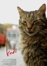 Kedi (2017)