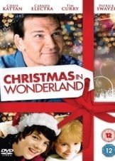 Χριστούγεννα στην πόλη των θαυμάτων / Christmas in Wonderland (2007)