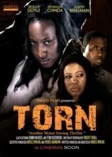 Torn (2013)