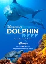 Dolphin Reef (2020)