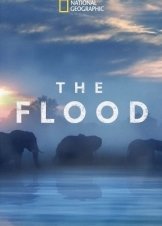 The Flood (2018)