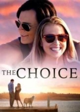 The Choice 2016