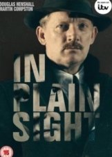 In Plain Sight  (2016– ) TV Mini-Series