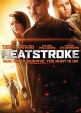 Heatstroke (2013)