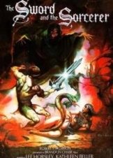 The Sword and the Sorcerer (1982)
