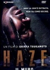 Haze (2005)