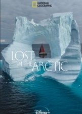 Lost in the Arctic (2023)