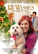 12 Wishes of Christmas (2011)