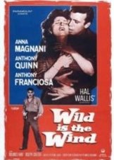 Wild Is the Wind (1957)