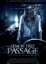 Lemon Tree Pass (2013)