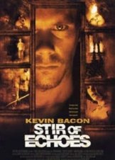 Stir of Echoes (1999)