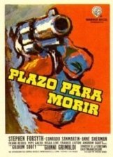 All'ombra di una colt (1965)