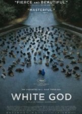 Feher Isten / White God (2014)