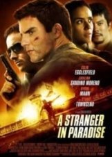 A Stranger in Paradise (2013)