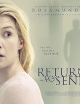 Return to Sender (2015)