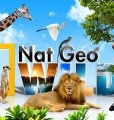 Nat Geo Wild Αδάμαστη Αμερική (2013)