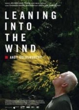 Leaning Into the Wind: Andy Goldsworthy (2017)