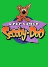 A Pup Named Scooby-Doo (1988–1991)