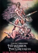 The Warrior and the Sorceress (1984)