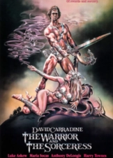 The Warrior and the Sorceress (1984)