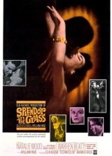 Πυρετός στο Αίμα / Splendor in the Grass (1961)