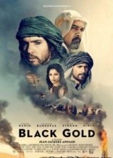 Το Χτυπημα Του Γερακιου / Black Gold / Day of the Falcon (2011)