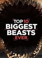 Top 10 Biggest Beasts Ever (2015)