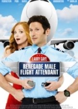 Larry Gaye: Renegade Male Flight Attendant (2015)