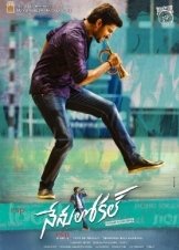 Nenu Local (2017)
