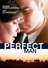 A Perfect Man 2013