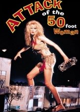 Η επίθεση της Superwoman / Attack of the 50 Ft. Woman (1993)
