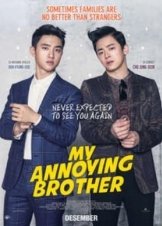 My Annoying Brother (2016)