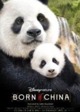 Born in China (2016)