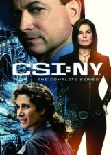 Στον τόπο του εγκλήματος: Νέα Υόρκη / CSI New York / CSI: NY (2004)