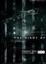 The Night Of (2016)