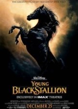 Καλπαζοντασ Σαν Τον Ανεμο / Young Black Stallion (2003)