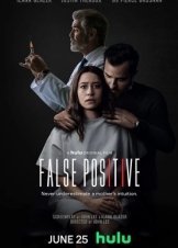 False Positive (2021)