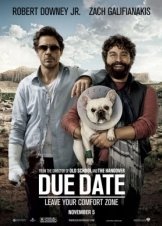 Μη Σπρώχνεις, Έρχομαι / Due Date (2010)