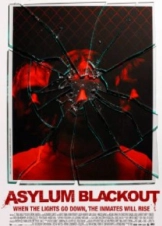 The Incident / Asylum Blackout (2011)